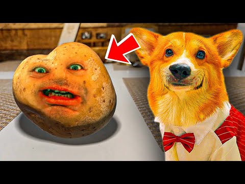 Видео: ГОВОРЯЩАЯ КАРТОШКА НАПАЛА НА НАС!! (Корги Коржик) Говорящая собака