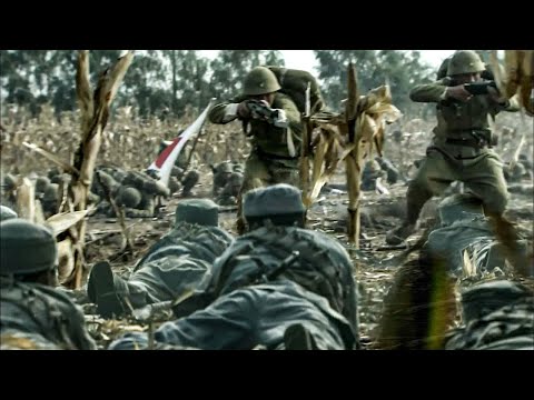 Видео: Это искусство поля боя! В Японии больше солдат и оружия, но они проиграли китайским ветеранам!