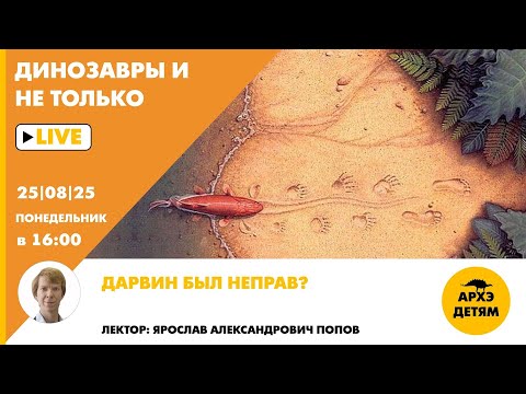 Видео: Занятие "Дарвин был неправ?" рубрики "Динозавры и не только" с Ярославом Поповым