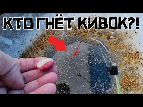 Видео: НАШЁЛ НОВОЕ МЕСТО и КЛЮЁТ! Рыбалка в КОНЦЕ февраля 2025.