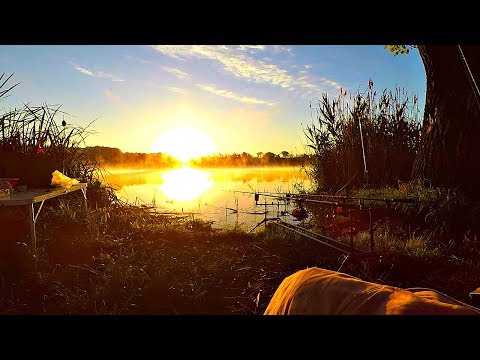 Видео: Как я становился карпятником. Выезд с ночёвкой на карповую рыбалку!