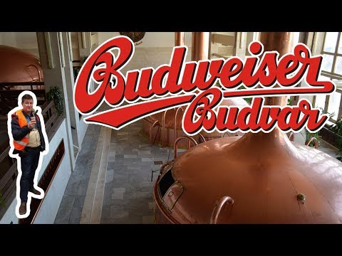 Видео: Как мы на Budweiser Budvar ходили. Экскурсия на пивоварню. Чешские заметки. Часть 4.