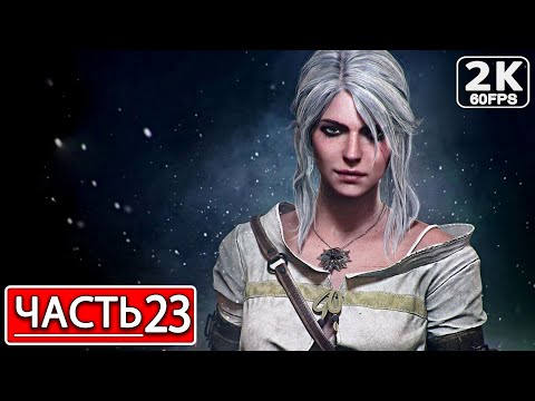 Видео: THE WITCHER 3: WILD HUNT Полное Прохождение Часть 23 ВЕДЬМАК 3 ДИКАЯ ОХОТА #shorts