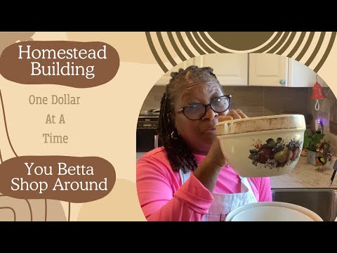 Видео: Homestead Bargains — Мама велела мне поискать что-нибудь получше
