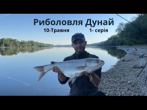 Видео: Риболовля на річці Дунай — Фідер, прикормка, трофейна риба | Частина 1