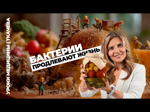 Видео: Что скрывает ваш кишечник? Микробиом и питание - продлеваем жизнь | Уроки медицины | Ольга Ткачева