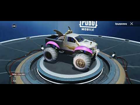 Видео: 5 ноября 2025 г.