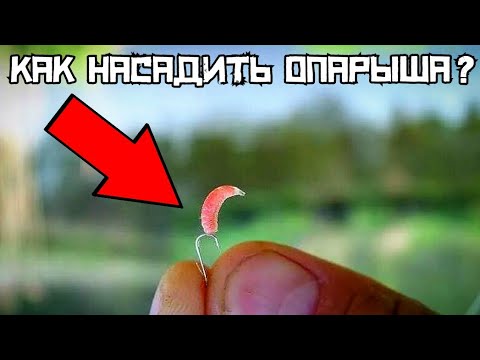 Видео: РАСКРЫВАЮ СЕКРЕТ! Как правильно насадить опарыша? ТОП-5 способов!