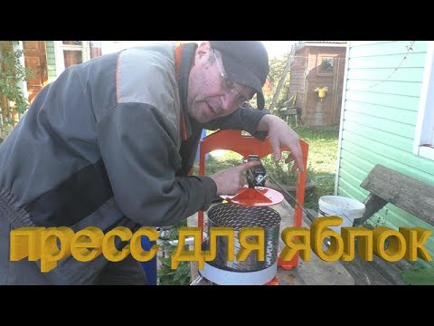 Видео: Пресс для яблок (архив осень 2022)