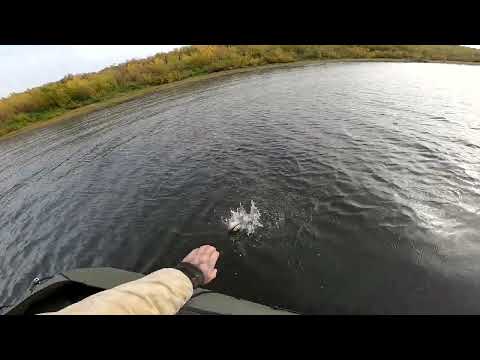 Видео: Первый спуск на воду аэролодки "Торнадо".