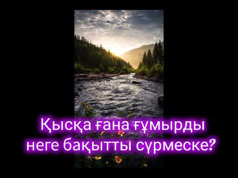 Видео: Қысқа ғана ғұмырды неге бақытты сүрмеске?#Ар #намыс #бақыт #ғұмыр
