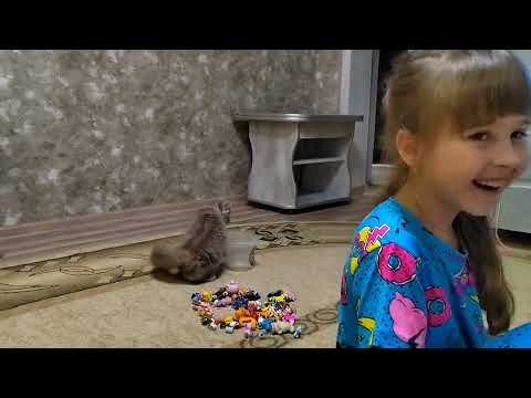 Видео: В Магазин, Навели Красоту/Разговоры о Будущем, Квартирный Вопрос ❔ 10.02.24