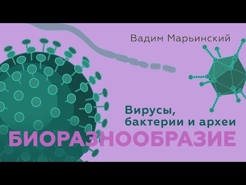 Видео: Организмы без ядра и не только. Вирусы, бактерии и археи. Естествознание 8.2