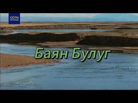 Видео: Баян Булуг