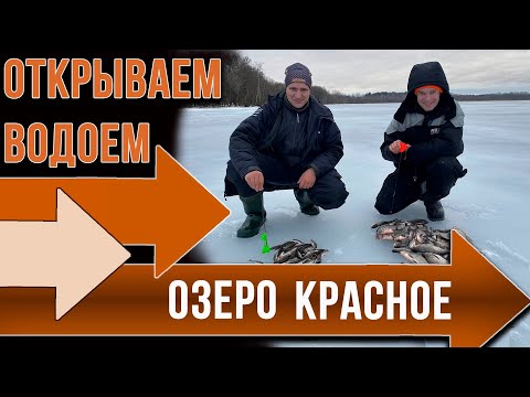 Видео: Как ловить на незнакомом водоеме. Озеро Красное.