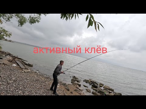 Видео: Активный клёв. Попали на раздачу.