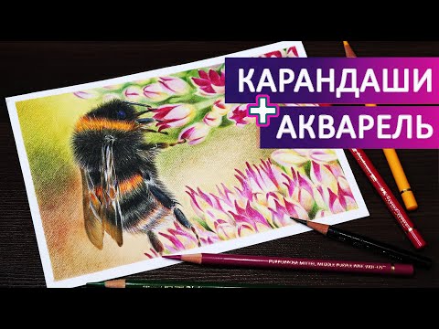 Видео: Рисунок в смешанной технике 👍 АКВАРЕЛЬ и ЦВЕТНЫЕ КАРАНДАШИ 🔥Советы и Таймлапс