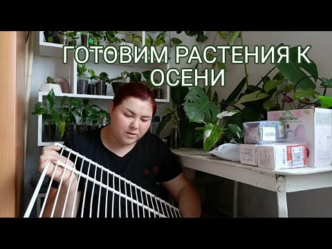 Видео: ГОТОВИМ растения к осени,зиме. Органицазия пространства для растений