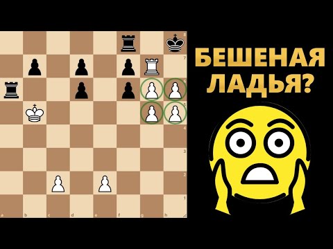 Видео: Бешеная ладья??? #шахматы #chess #этюды