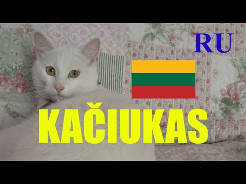 Видео: ЛИТОВСКИЙ ЯЗЫК - 85 -  KAČIUKAS