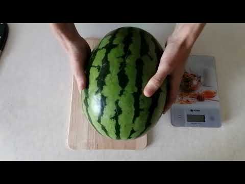 Видео: Арбуз Бедуин F1 обзор