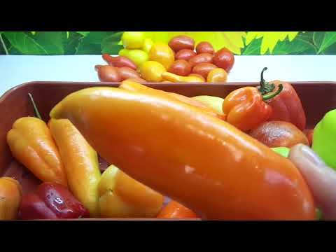 Видео: ПЕРЕЦ ТОЖЕ ПРИГОДЕН ДЛЯ ЗИМНЕГО ХРАНЕНИЯ! Ольга Чернова.