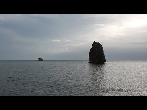 Видео: Дорога Киевка-Заповедное. Как добраться до прекрасного места южного Приморья.