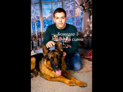 Видео: Боско Мюзик-2024