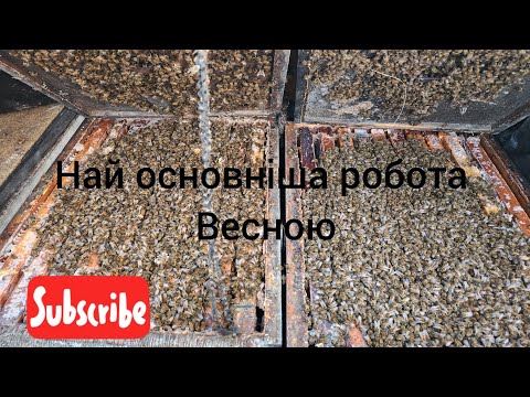 Видео: Весняний обробіток бджіл від кліща. Spring mite treatment.