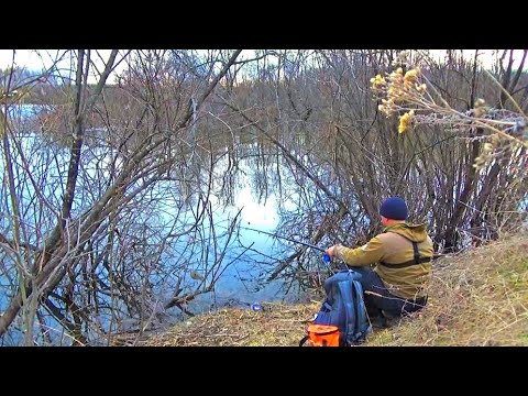 Видео: СОРОГА НА ПОПЛАВОК!!! ПОКЛЁВКА ЗА ПОКЛЁВКОЙ!!!