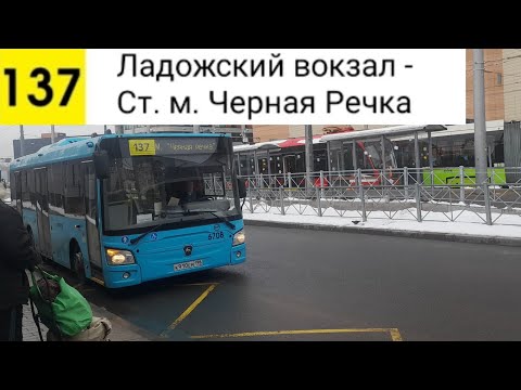 Видео: Автобус 137. Ладожский вокзал - Ст. м. Черная Речка
