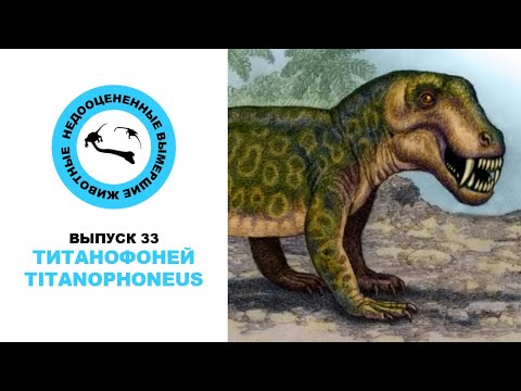 Видео: Недооцененные Вымершие Животные. Выпуск 33: Титанофоней (Titanophoneus)