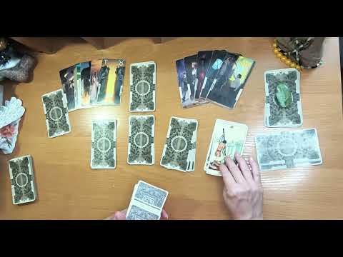Видео: 👀 Что у него с соперницей?🙈🙉🙊😁😁😁👎