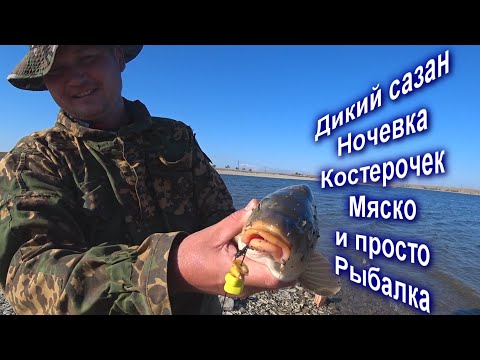 Видео: Рыбалка с ночевкой! Ловля Сазана и Карпа! Рыбалка в Казахстане! Кенгирское водохранилище!