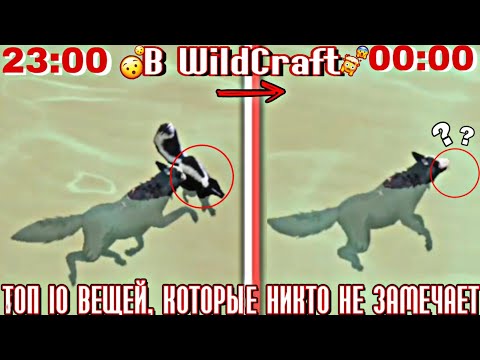 Видео: ТОП 10 ВЕЩЕЙ, КОТОРЫЕ НИКТО НЕ ЗАМЕЧАЕТ В WildCraft // Это нужно знать всем