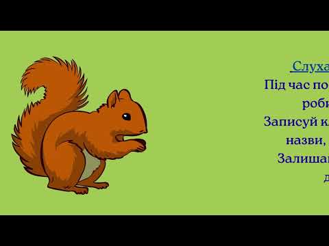 Видео: #письмовийпереказ"Білочка"#4клас#НУШ