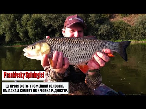 Видео: Це просто ого- трофейний головень на Jackall Chubby DR з човна р. Дністер.