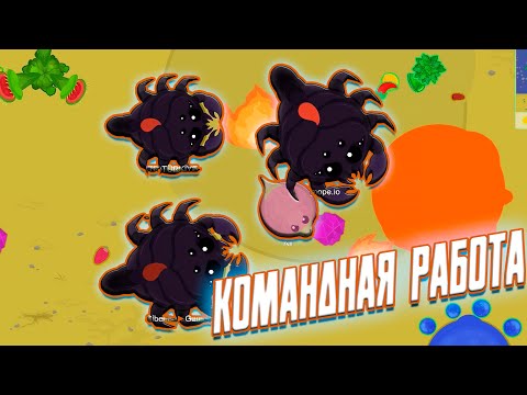 Видео: КОМАНДНАЯ РАБОТА ➤ MOPE IO