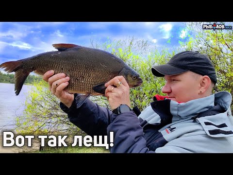 Видео: Рыбалка на Волге. Нашли леща на реке весной. Правила успешной ловли леща на фидер. Прикормка