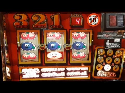 Видео: Игровая сессия Maidstone Reel Fruits. 19/09/25