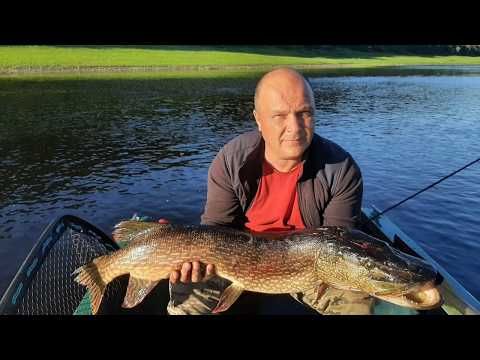 Видео: Эта ЩУКА сломала спиннинг в 3 местах но мы ее поймали / Рыбалка на спиннинг с лодки / Трофейная рыба