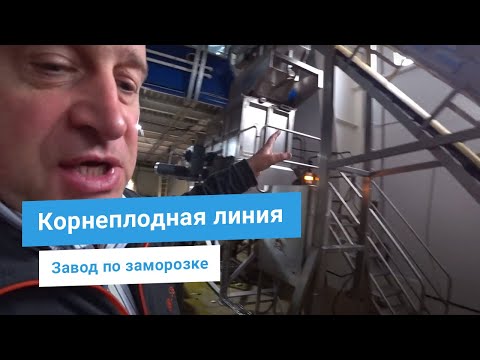 Видео: Линия переработки корнеплодов: мойка и паровая очистка 2000 кг/час. Завод по заморозке/сушке овощей.