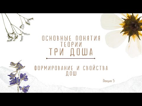 Видео: Теория Три Доша