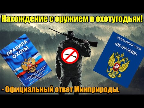 Видео: Нахождение с оружием в охотугодьях!  Официальный ответ!