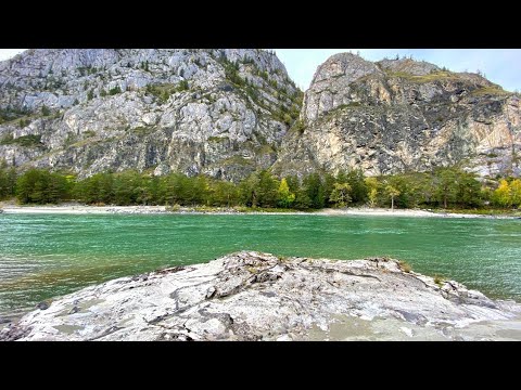 Видео: Продаю домик с участком в тёплой климатической зоне Горного Алтая, с видом на горы, рядом с Катунью.