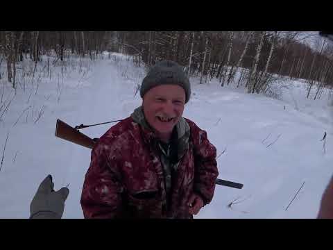 Видео: Охота с Русской гончей на зайца 4 02 23