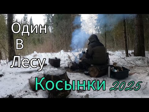 Видео: 4 ПОПЫТКИ И......ПОЙМАЛ. РАЗДАЧА ОКУНЯ В КОСЫНКИ НА ТАЕЖНОЙ РЕЧКЕ. РЫБАЛКА НА КОСЫНКИ.