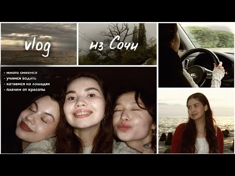 Видео: vlog: влюбляемся в жизнь в Сочи