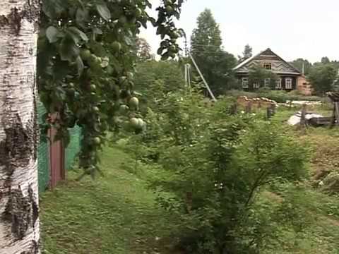 Видео: "Дорогой к людям": Заяцкое и Смердяч