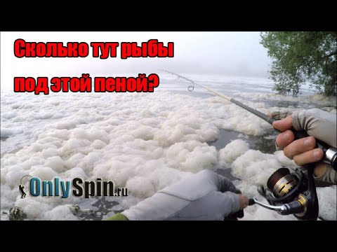 Видео: Сколько рыбы под этой пеной? На что ловить в этой помойке? Ловля на спиннинг. Раздача на Москва реке